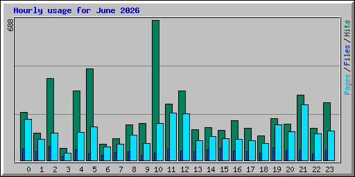 Hourly usage for June 2026